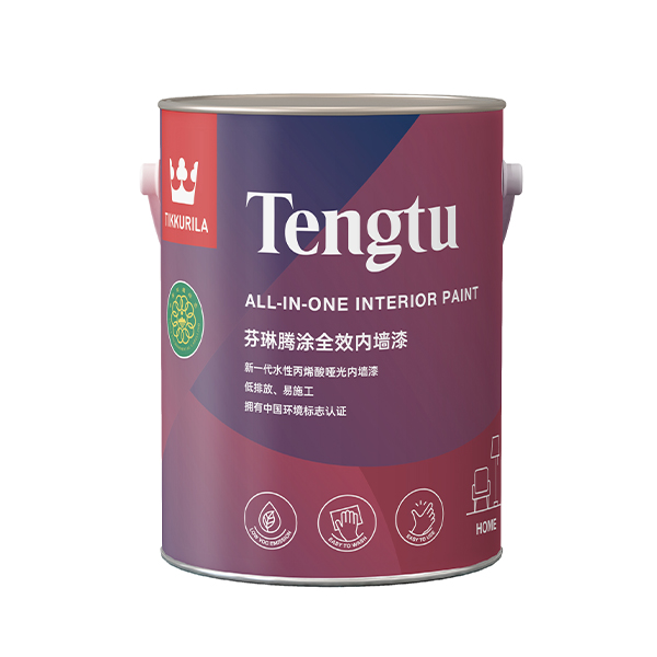 芬琳腾涂全效内墙漆-4.5L